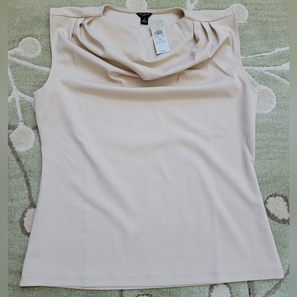 Ann Taylor Cowl Neck Ruched Short Sleeve Top - Picture 12 of 13